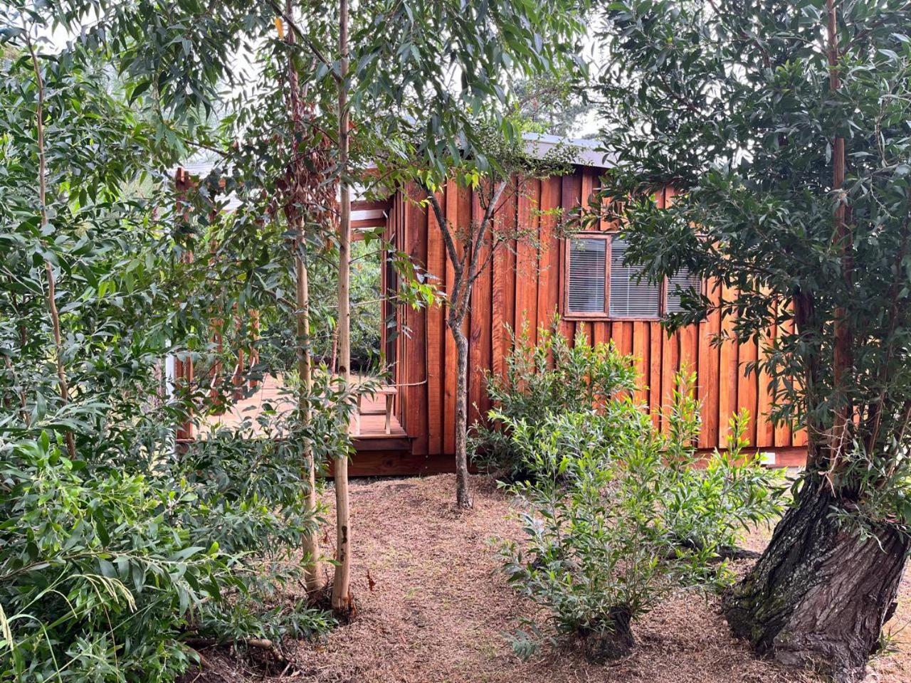 Forest Gate Resort Plettenberg Bay Luaran gambar