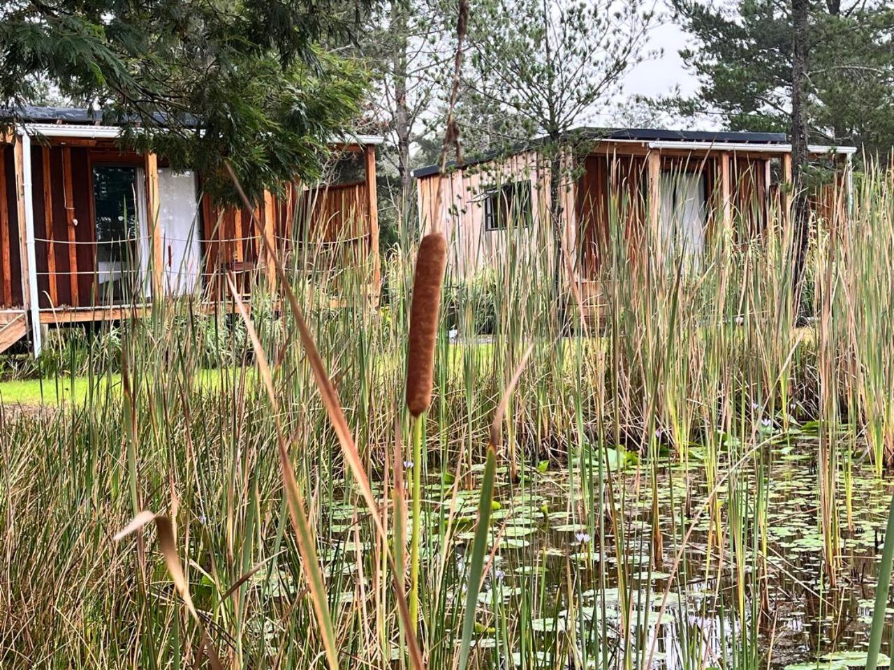Forest Gate Resort Plettenberg Bay Luaran gambar