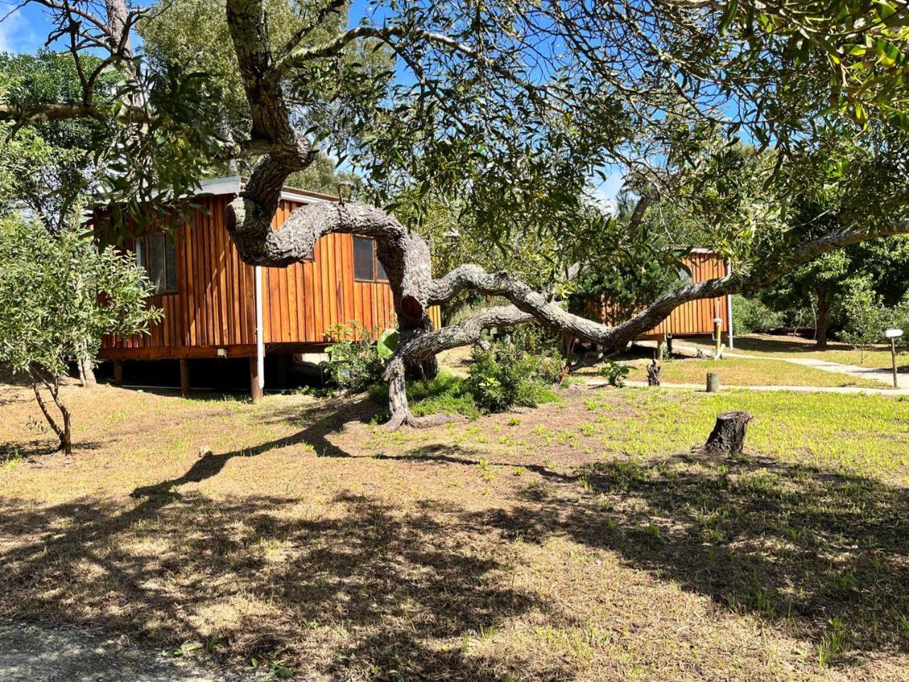 Forest Gate Resort Plettenberg Bay Luaran gambar